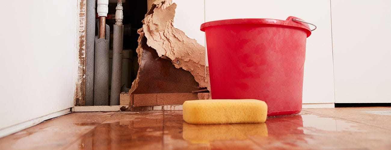 water-damage-repair