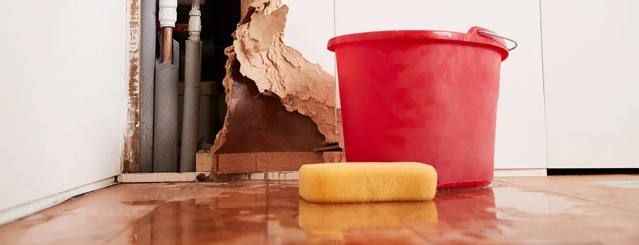 water-damage-repair
