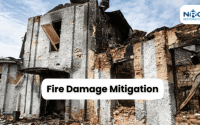 Crucial Role of Fire Damage Mitigation and Clean Up