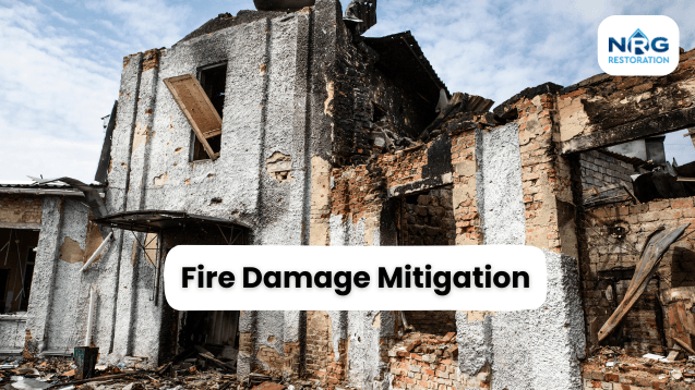 Fire Damage Mitigation