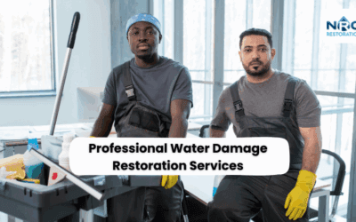 7 Pros of Professional Water Damage Restoration Services