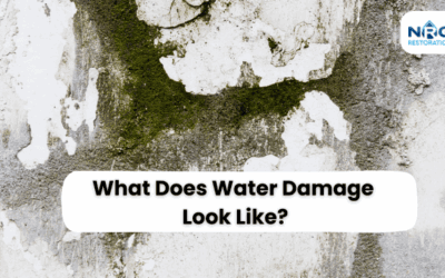 What Does Water Damage Look Like? Uncover Key Indicators!