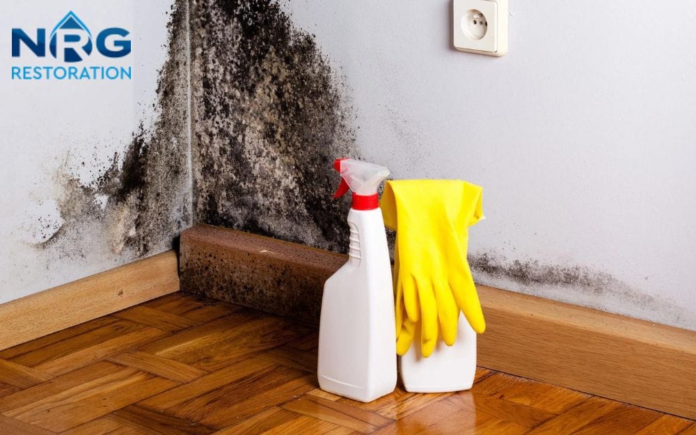 How to Remove Mold From Walls Tips From the Expert How to Remove Mold From Walls Tips From the Expert