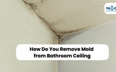 How Do You Remove Mold from Bathroom Ceiling Naturally?
