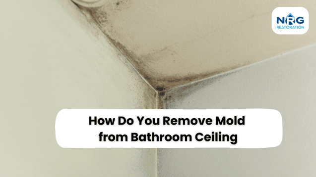 Remove Mold from Bathroom Ceiling How Do You Remove Mold from Bathroom Ceiling