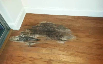 Water Damaged Floor Repair: How to Fix Floor Water Damage the Right Way