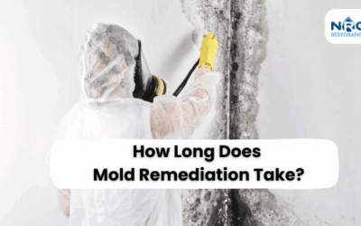 How Long Does Mold Remediation Take?