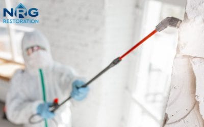 When is Mold Remediation Required?