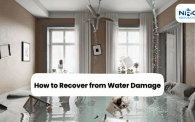 How to Recover from Water Damage Quickly