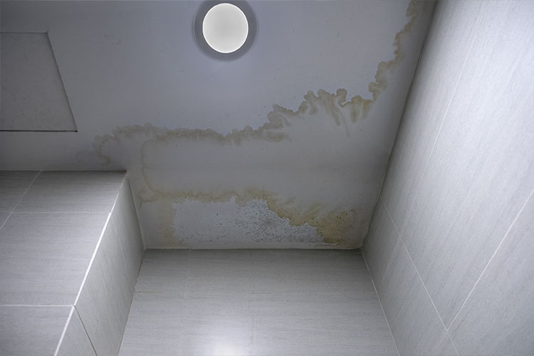 Queens-Water-Damage-Restoration-Services