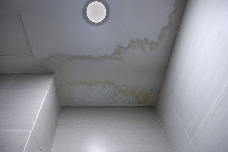 Queens-Water-Damage-Restoration-Services