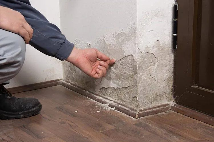 damp-wall-after-flood