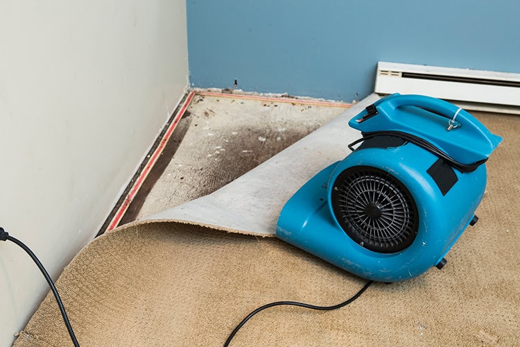 water-damage-restoration-services-suffolk