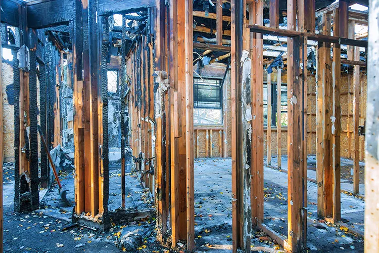 la-fires-sec-1 Book Your Fire and Smoke Restoration Service