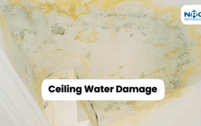 Ceiling Water Damage? Here’s What to Do Before It Gets Worse