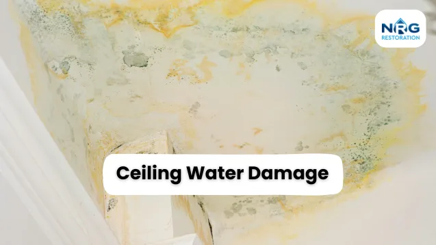 Ceiling Water Damage