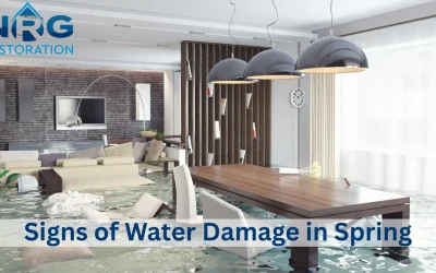 Top 9 Warning Signs of Water Damage in Spring