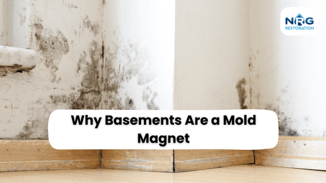 Mold in Basements