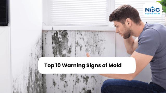 Signs of Mold signs of mold