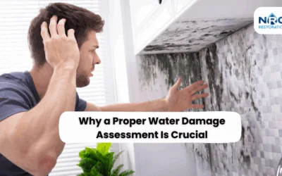 Why a Proper Water Damage Assessment Is Crucial Before Repairs