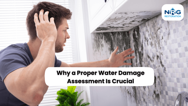 _Water Damage Assessment Water damage assessment