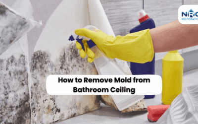How to Remove Mold from Bathroom Ceiling: What Works and What Doesn’t