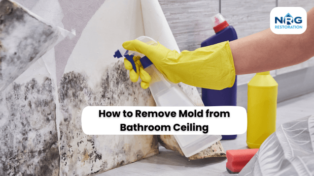 Remove Mold from Bathroom Ceiling