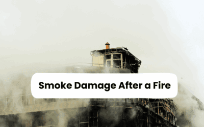 Smoke Damage After a Fire: What to Expect and How to Restore Your Home