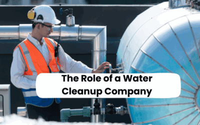 The Role of a Water Cleanup Company in Emergency Flood Situations