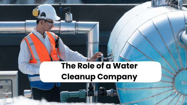 Water Cleanup Company