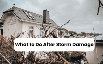 What to Do After Storm Damage: A Step-by-Step Recovery Guide
