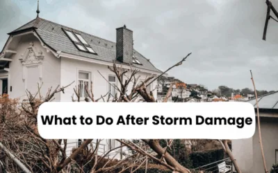 What to Do After Storm Damage: A Step-by-Step Recovery Guide