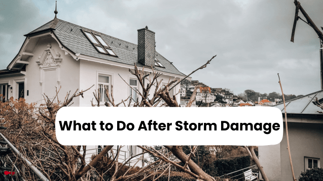 Storm Damage