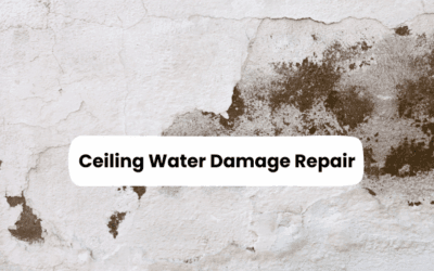 Ceiling Water Damage Repair: Steps to Stop Further Damage