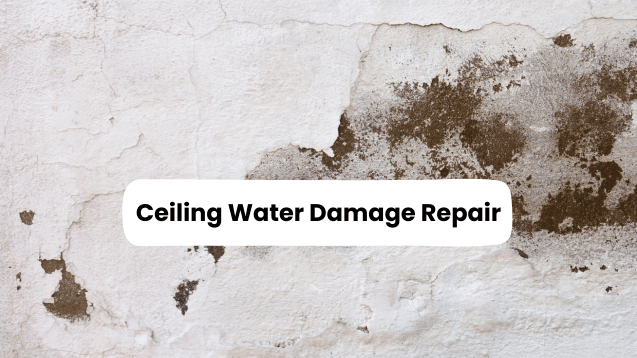 Ceiling Water Damage Repair