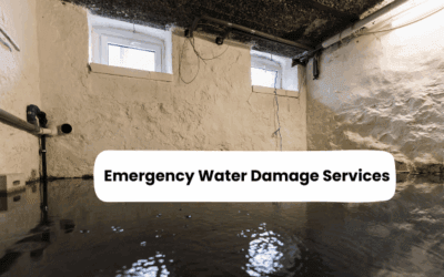 How Emergency Water Damage Services Prevent Mold Growth