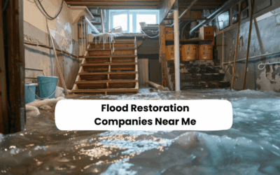 Flood Restoration Companies Near Me: How to Choose the Right One