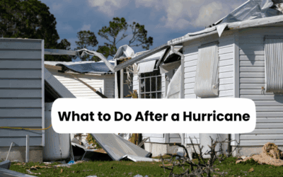 What to Do After a Hurricane: Essential Safety and Restoration Tips