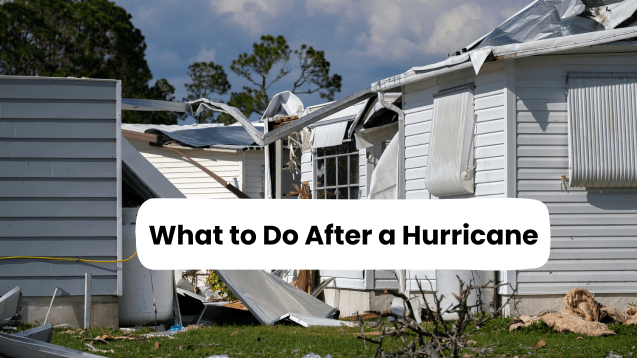 What to Do After a Hurricane