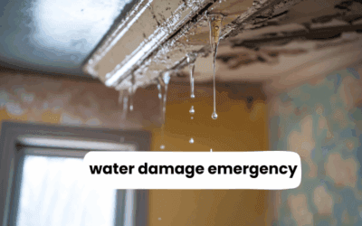Signs Your Water Damage Emergency Needs Professional Help
