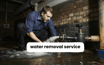 Water Removal Service Explained: What You Can Expect