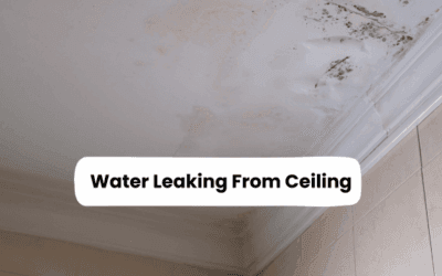 Water Leaking From Ceiling? Here’s What To Do Immediately Before It Gets Worse